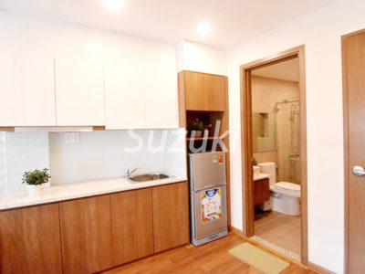 mansion-condo-Vietnam-ho-chi-minh-district-3-315 (5)