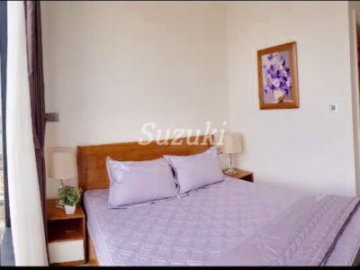 S1021034 (2)