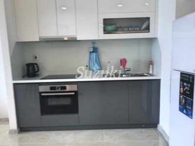 S1021300 (1)