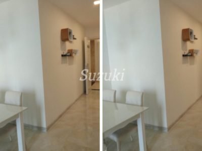 S1021321 (3)