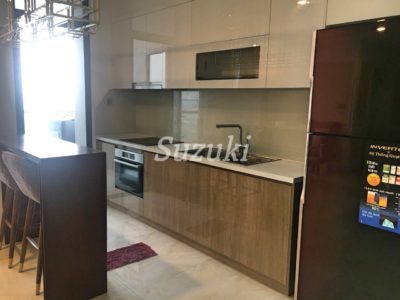S1022699 (1)