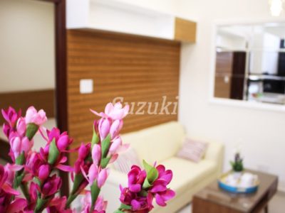 S199066 (5)
