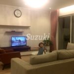 Estela rental apartment in Ho Chi Minh, comfortable furnished room-S201036