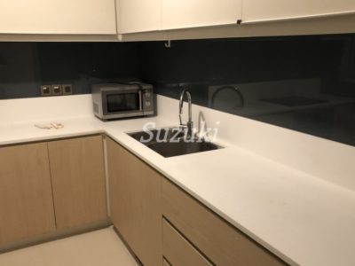 S201176 (3)