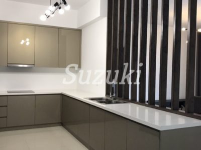 S213250 (3)