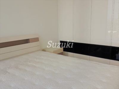 S213475 (2)
