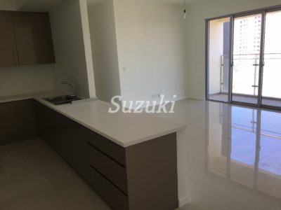 S213558 (6)