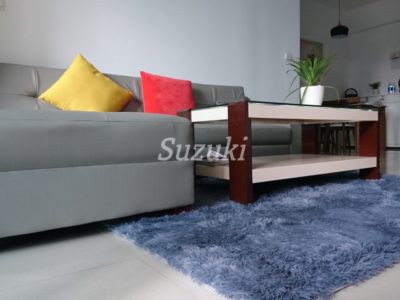 S213560 (2)