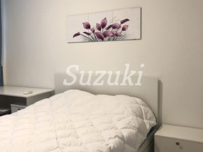 S213701 (5)