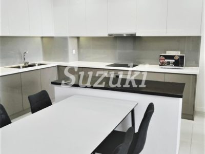 S213719 (3)