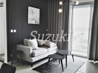 S213719 (4)