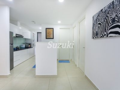 S2142543 (1)