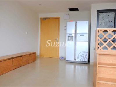 S21447450 (6)