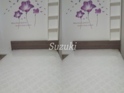 S214502 (5)