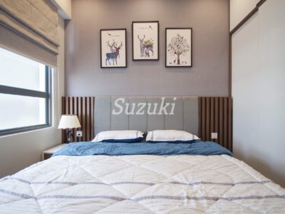S229051 (1)