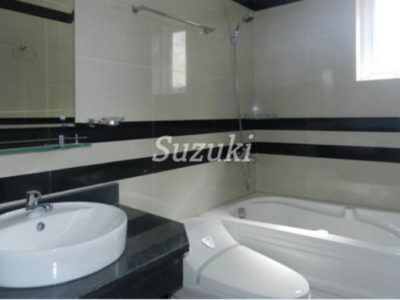 S299065 (5)
