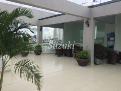 S299068 (5)
