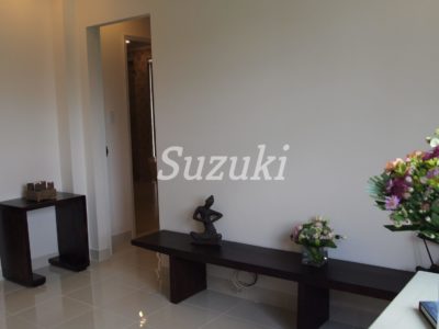 S299101 (5)