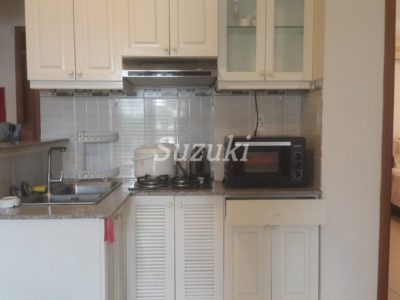 S299173 (2)