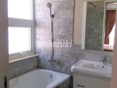 S299188 (4)