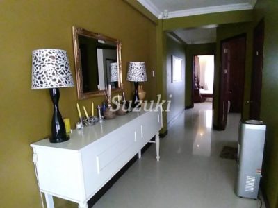 S299210 (4)