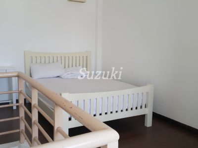 S299217 (4)