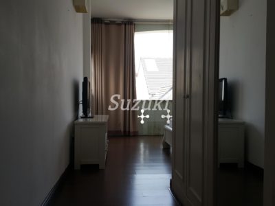 S299217 (5)