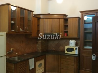 S399062 (4)