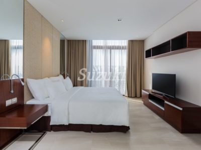 S399168 (4)