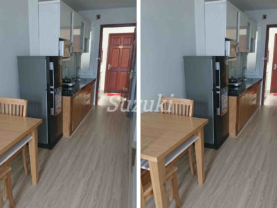 S399219 (1)