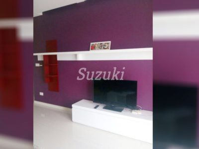 ST102036 (4)