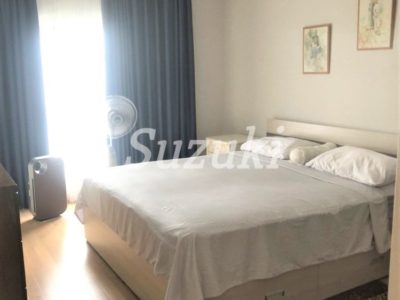 ST102339 (5)