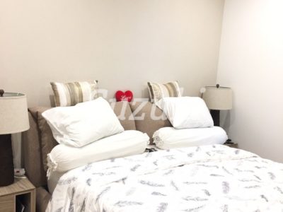 ST102452 (3)