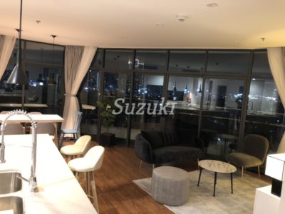 ST102825 (6)