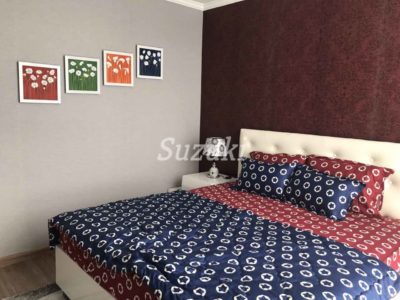 ST105058 (1)