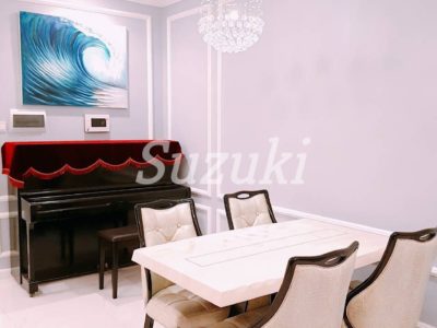 ST1051275 (6)