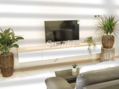ST105L1637 (4)