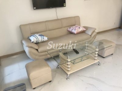 ST105L1860 (4)