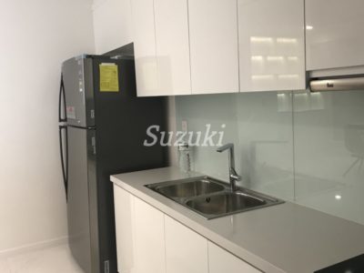 ST105L2930 (3)