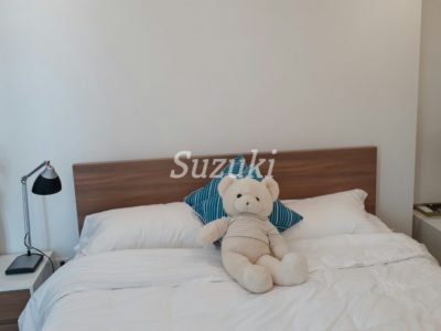 ST105L2952 (4)