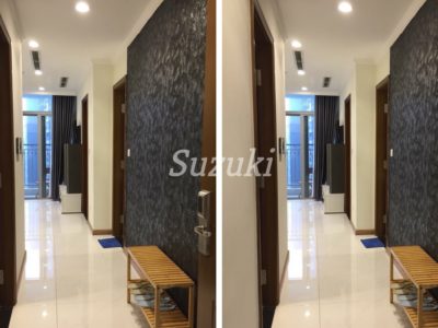 ST105L423 (4)
