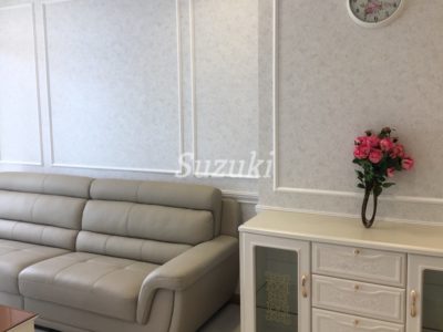 ST105L4807 (2)
