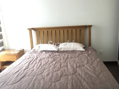 ST105L526 (6)