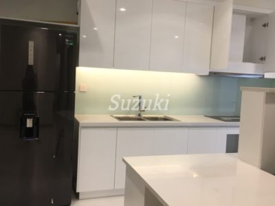 ST105L527 (3)
