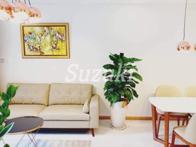 ST105L6879 (3)