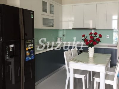 ST105P1061 (4)