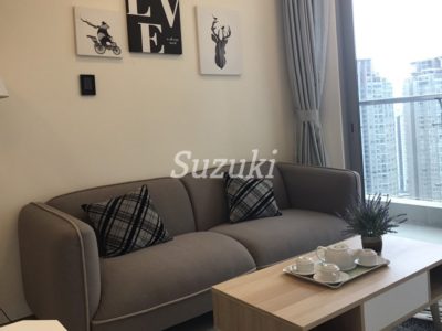 ST105P1219 (6)
