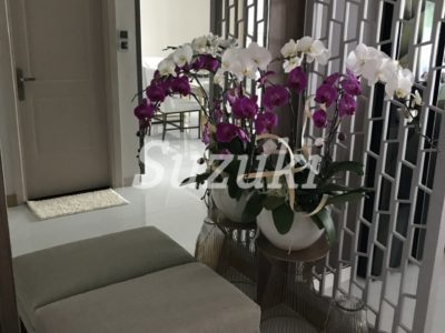 ST105P1849 (2)