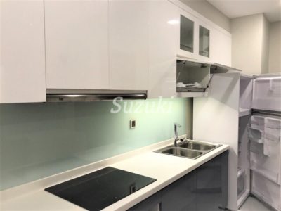 ST105P253 (2)