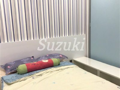 ST105P253 (3)